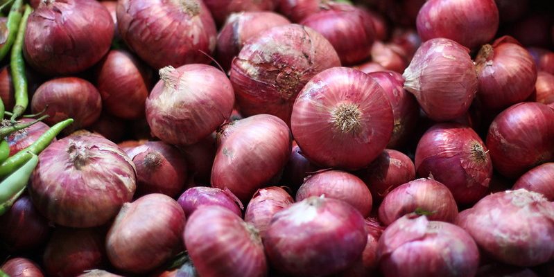 Government Extends Ban on Onion Exports Indefinitely